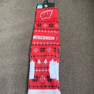Wisconsin Badger Socks